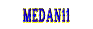 MEDAN11 Logo